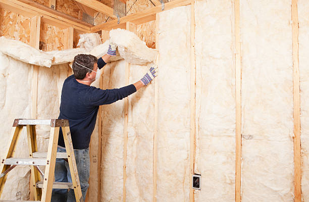 Best Garage Insulation in Rosedale, MS